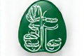 Fáilte Ireland Logo
